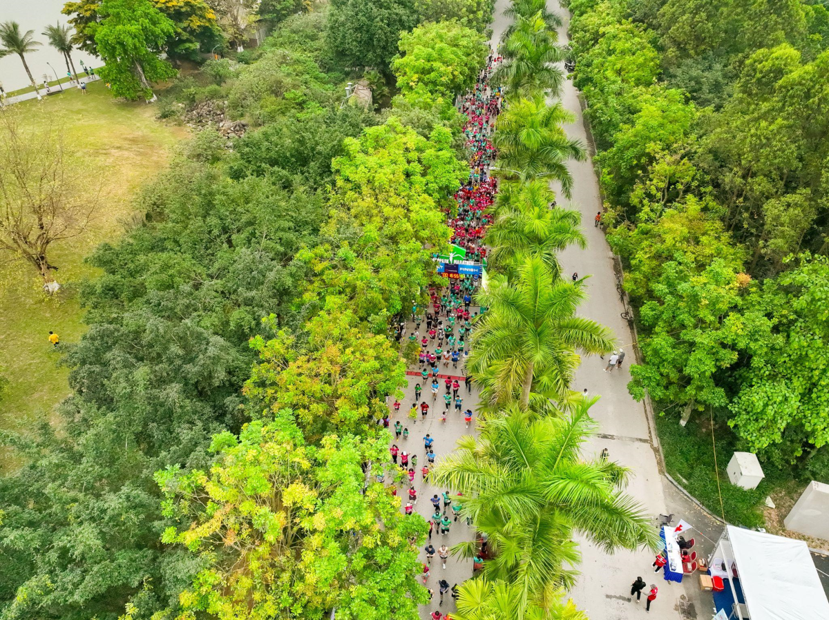 ecopark marathon